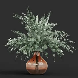 Vase eucalyptus cinerea